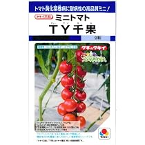 TY千果 1000粒 TY千果 1000粒
